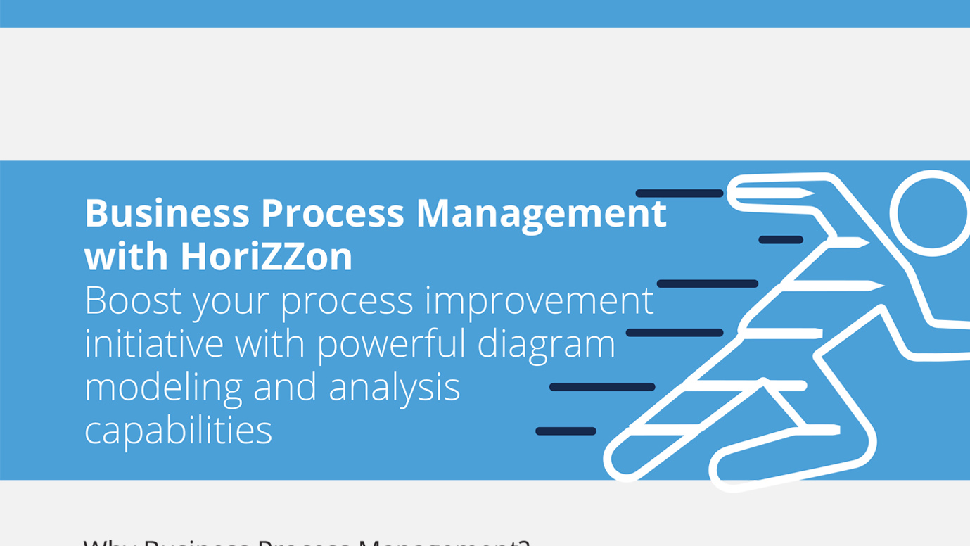 Business Process Management with Horizzon