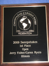 2009 sweepstakes winner